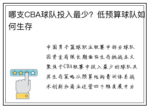 哪支CBA球队投入最少？低预算球队如何生存